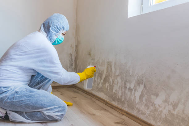 Licensed Commercial Mold Remediation service in Greeley, CO - WQB Mold Removal
