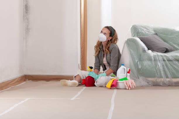 Reliable Commercial Mold Remediation contractor in Greeley, CO by WQB Mold Removal